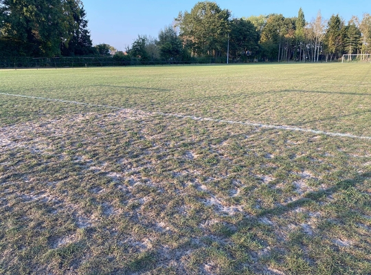 Geen robotgrasmaaiers voor het onderhoud van de voetbalterreinen in Beernem